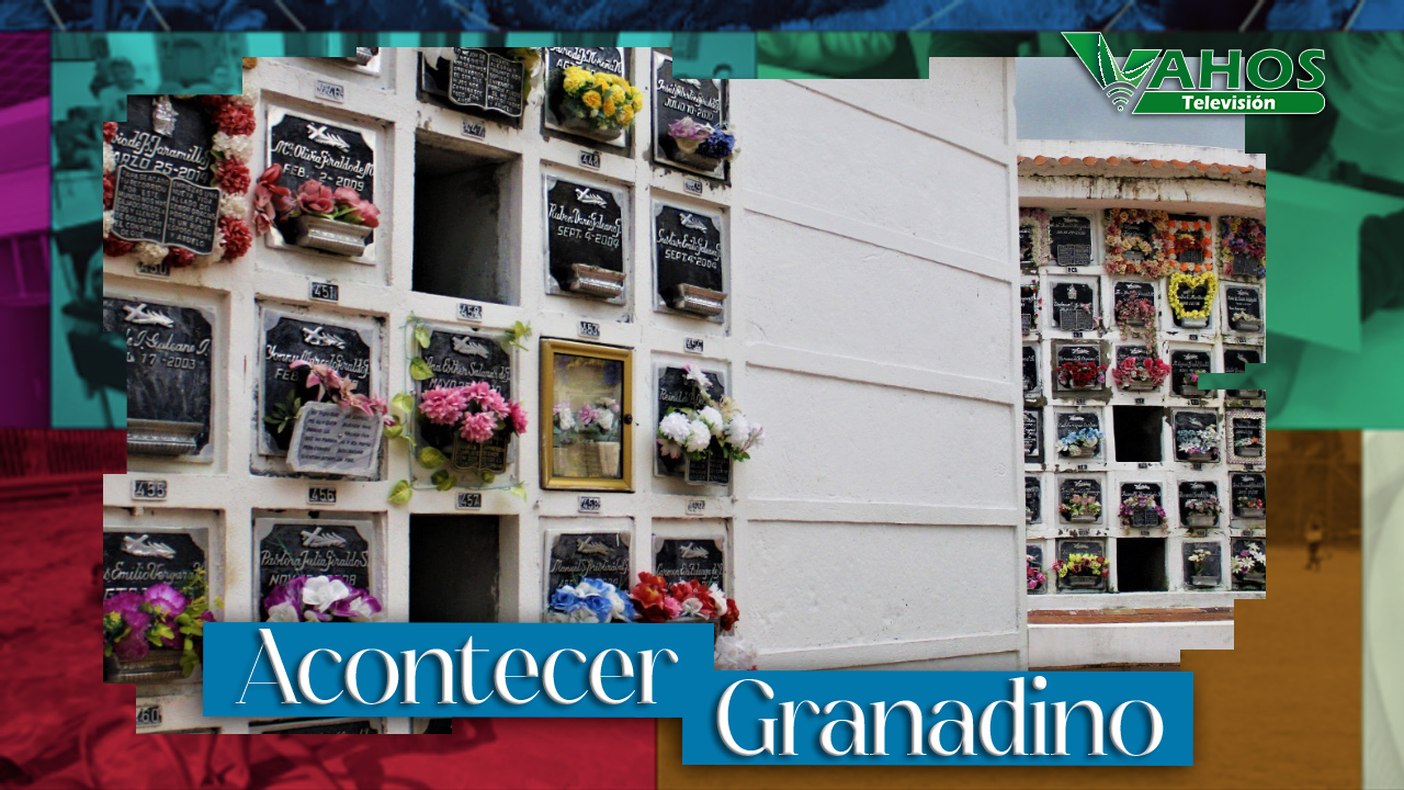 Imagen unidad de busqueda granada