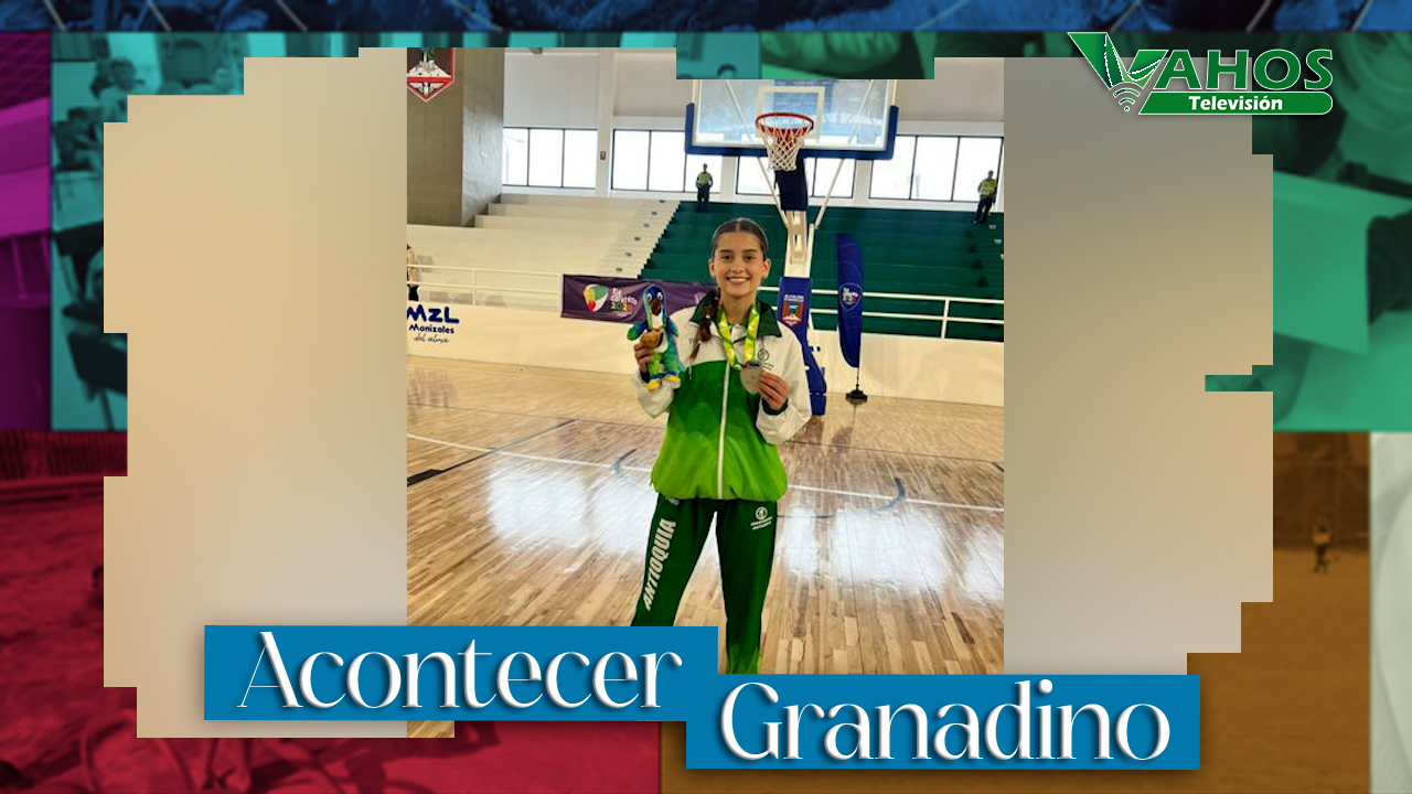 Imagen baloncesto granada