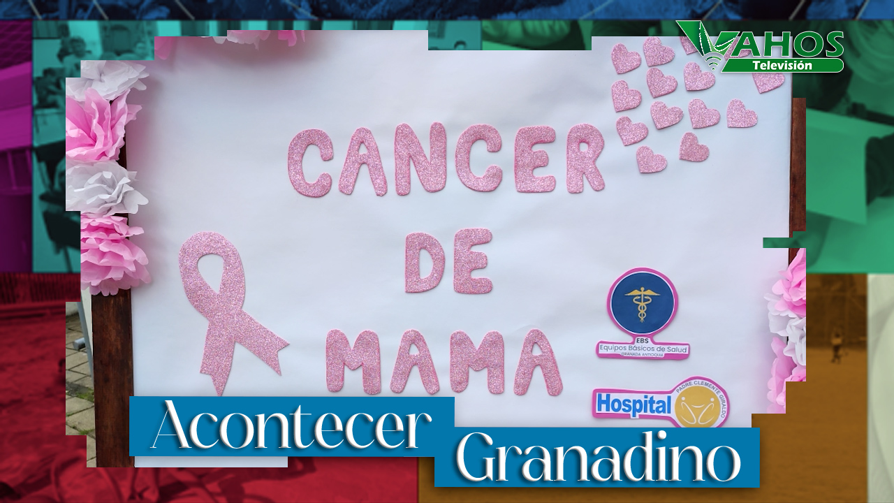 Imagen mamografia granada