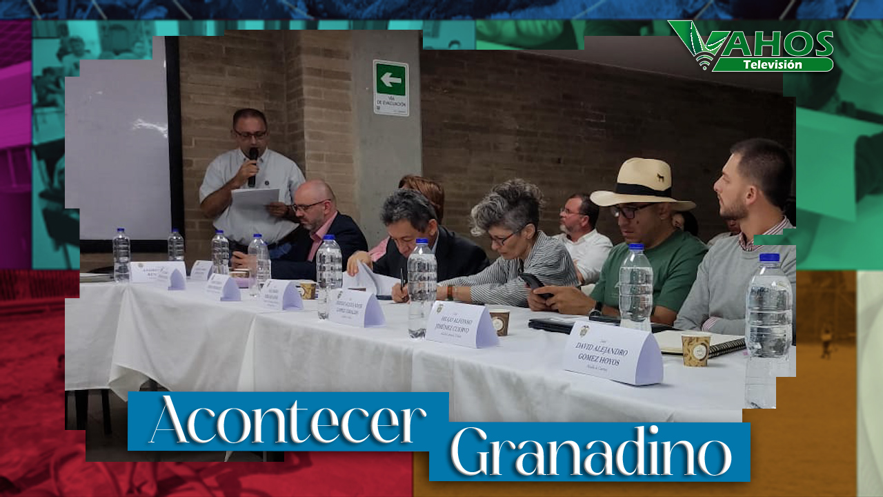 Imagen concejo de seguridad granada