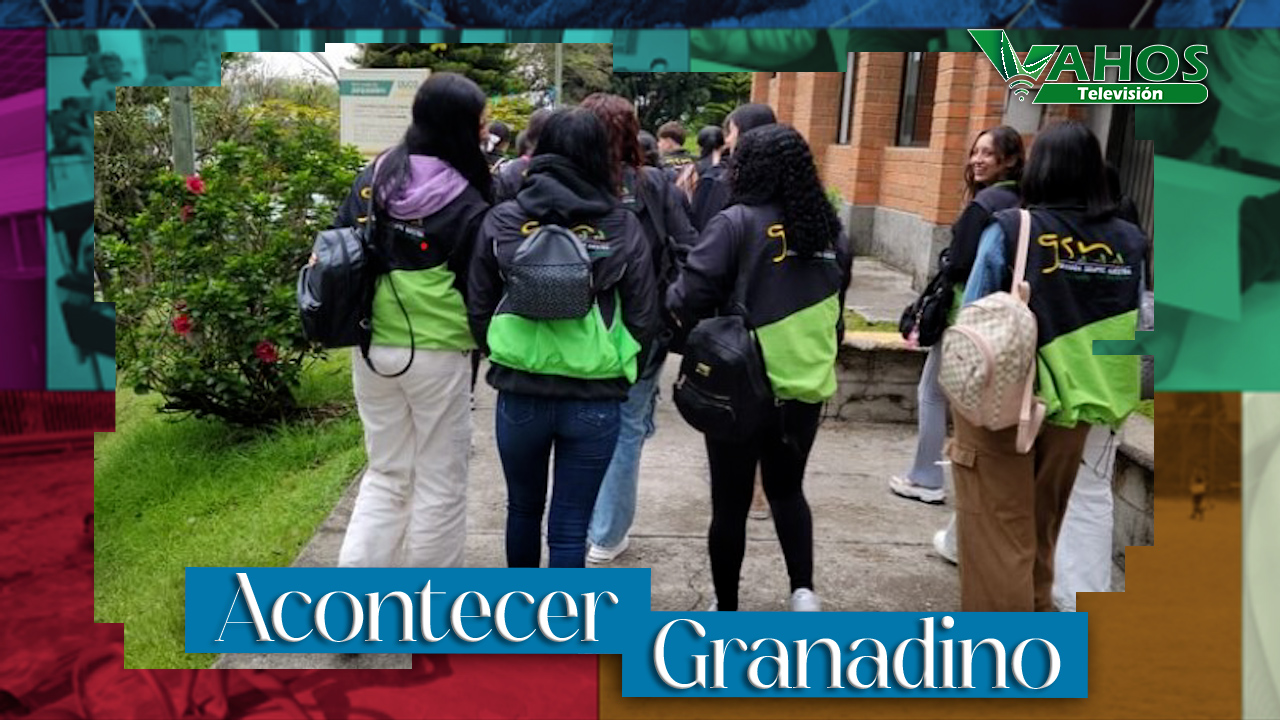 Imagen estudiar que negociazo granada