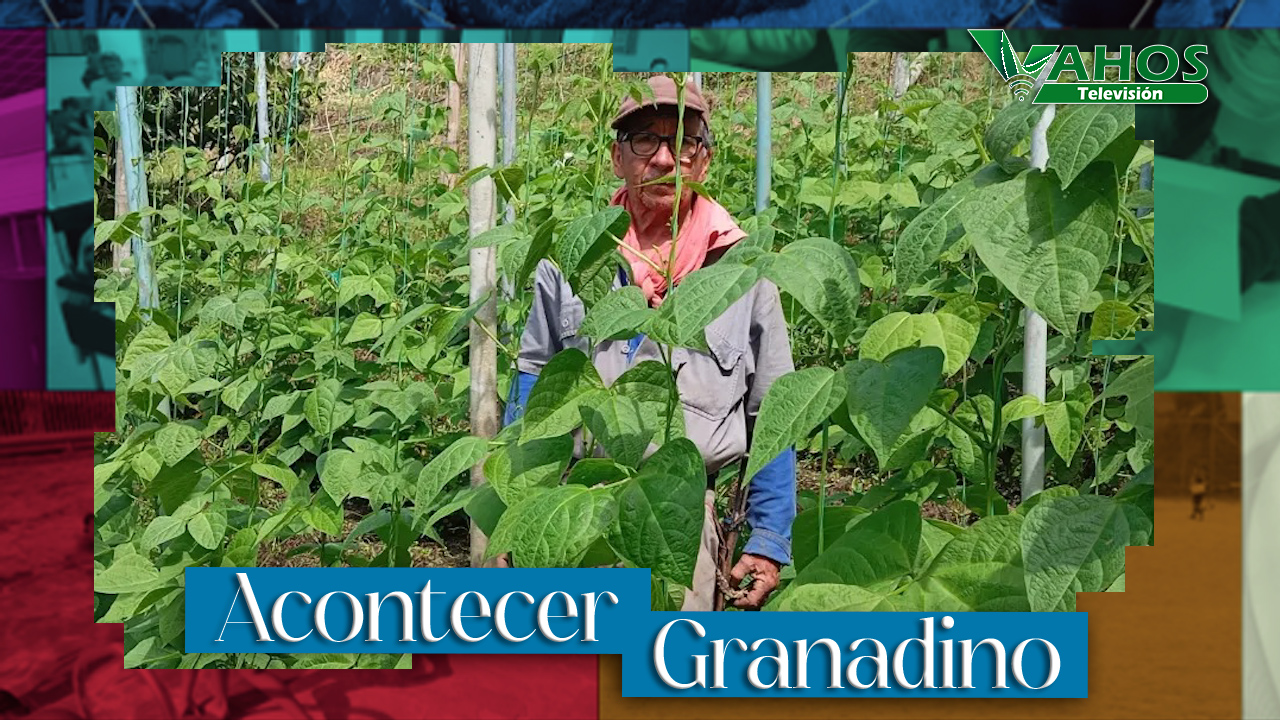 Imagen granja agroecologica valeria granada